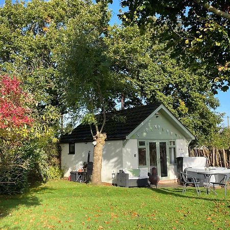 Pheasant Lodge Wimborne Minster Exteriér fotografie