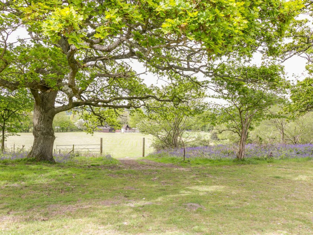 Pheasant Lodge Wimborne Minster Exteriér fotografie